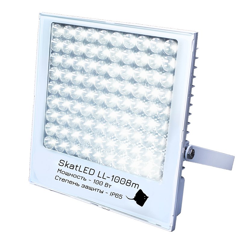 Все Бастион SkatLED LL-1008m светильник светодиодный видеонаблюдения в магазине Vidos Group