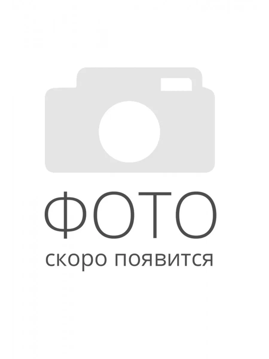 Все Олевс М1-300 (Черный) Электромагнитный замок системы безопасности в магазине Vidos Group