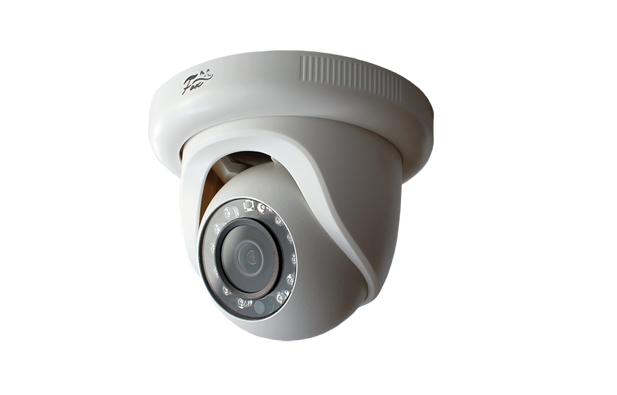 Все Fox FX-IPC-D20FP-IR LS IP-камера видеонаблюдения в магазине Vidos Group
