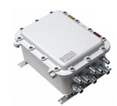 TFortis PSW-2G+Ex • 6 портовый уличный узел связи